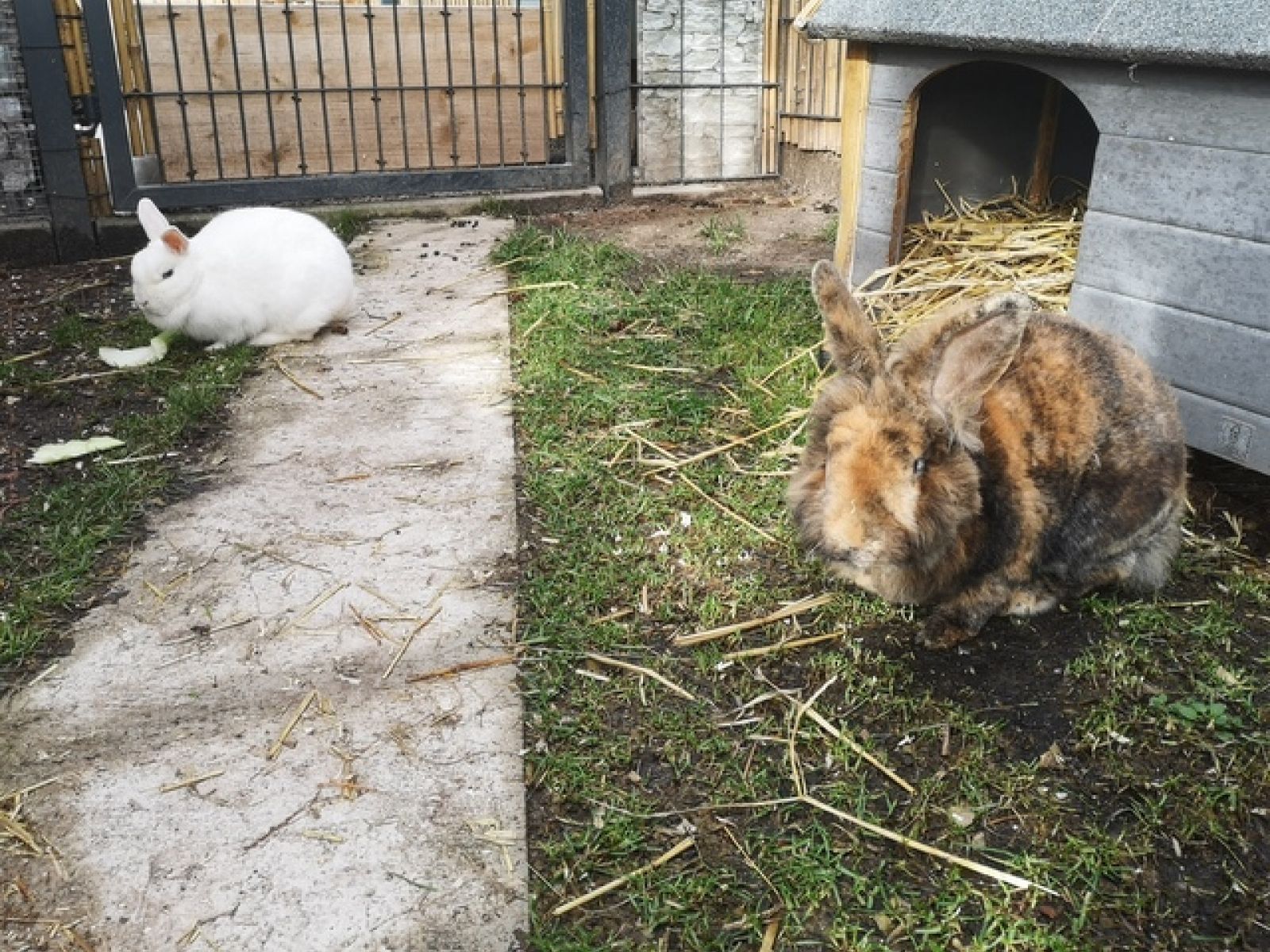 Harvey und Leni