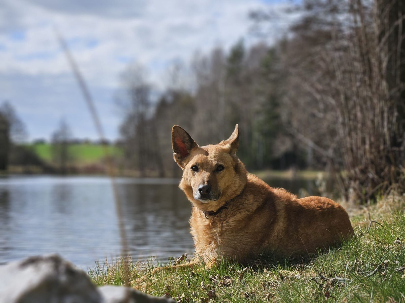 Zira